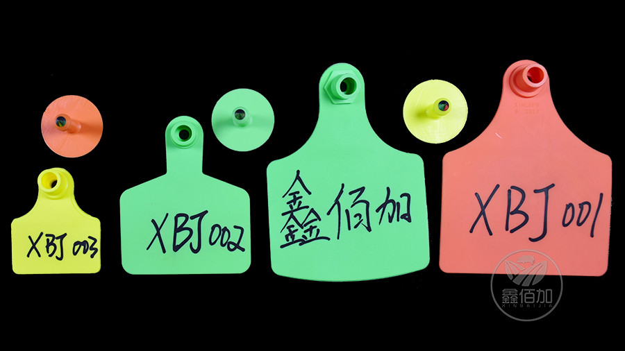 鐚€虫爣杩涘彛鏃犲瓧璇︽儏椤?.jpg
