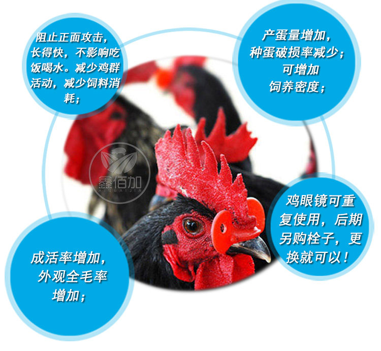 楦＄溂闀淎A璇︽儏椤?(4).jpg