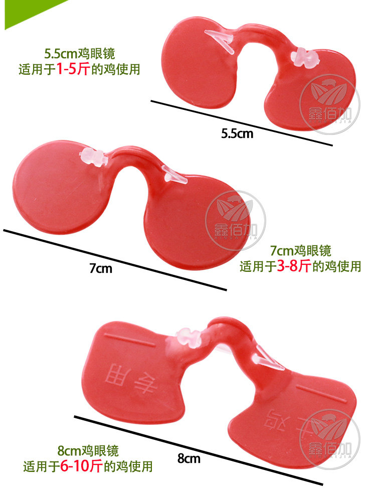 楦＄溂闀淎A璇︽儏椤?(6).jpg