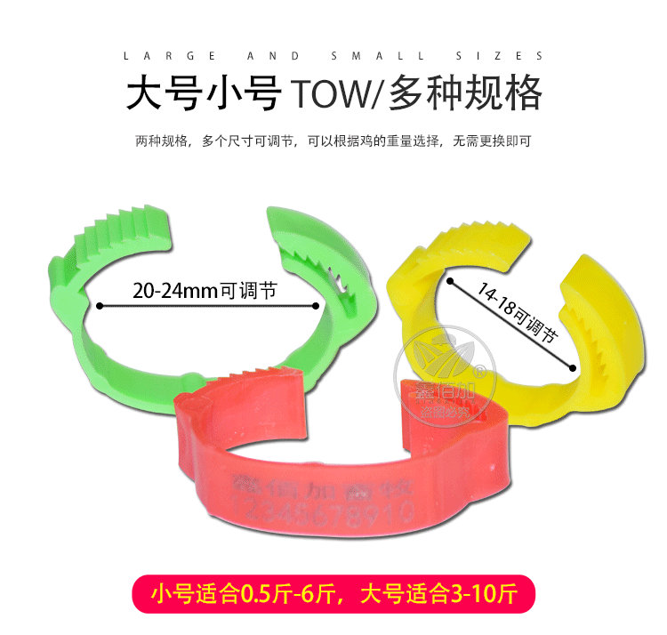 楦¤剼鐜彲璋傾A璇︽儏椤?(3).jpg