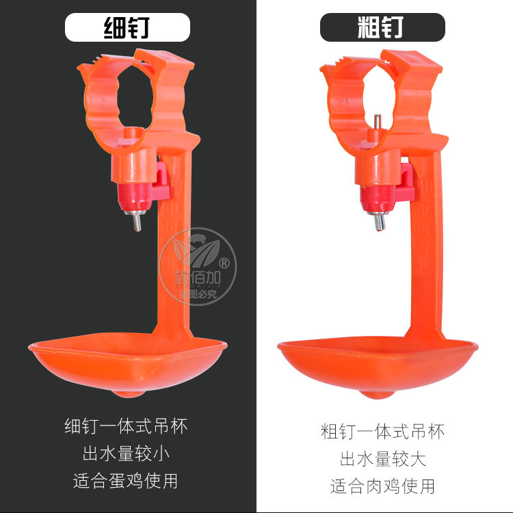 楦￠ギ姘村槾AB璇︽儏椤?(3).jpg