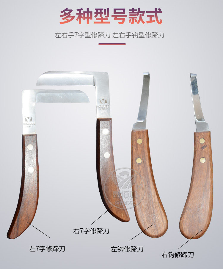 淇箘鍒€A璇︽儏椤?6).jpg