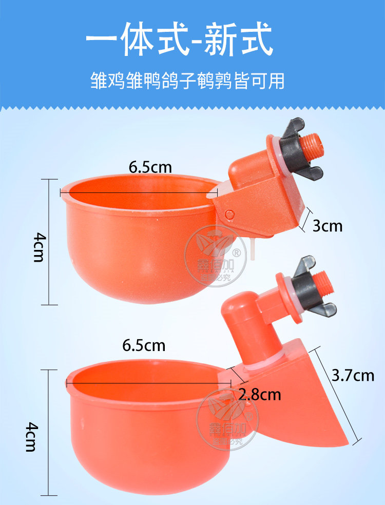 楦＄敤楗按纰桝璇︽儏椤?2).jpg